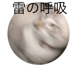 246401322