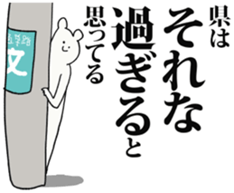 246411891