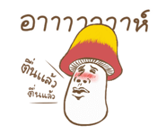 246419413