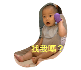 246436158