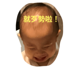 246436163