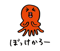 24648382