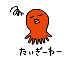 24648384