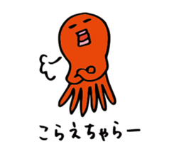 24648395