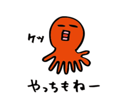 24648397