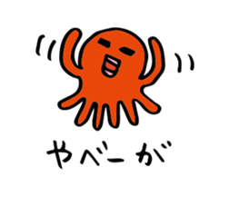 24648402