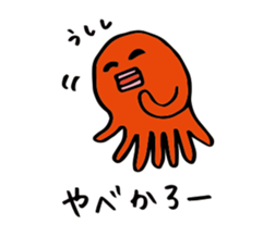 24648403