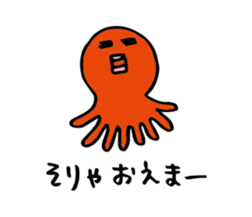 24648408