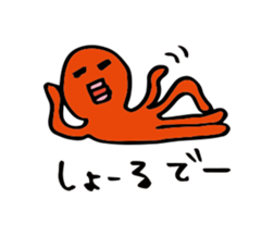 24648413