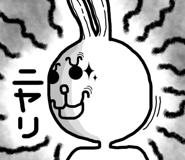 24649144