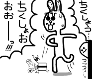24649156