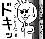 24649162
