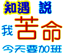 246526901