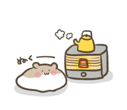 24654167