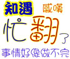 246543607