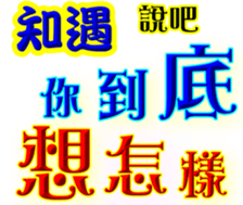 246543619
