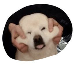 24660107