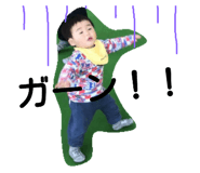 24663269