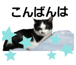246635428