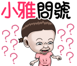 246637091