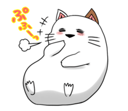 2466378
