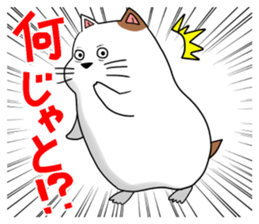 2466381