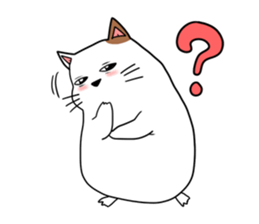 2466384