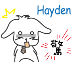 246656529
