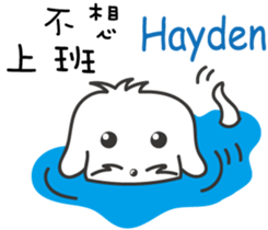 246656560