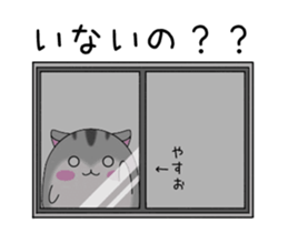 246733716