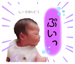 246776194