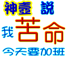 246802989