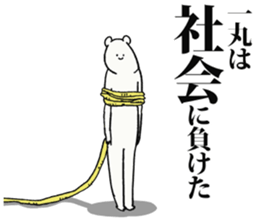 246851055