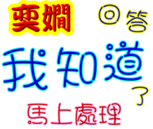 246999041