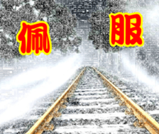 247017877