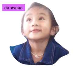 24705101