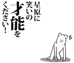 247081199