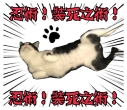 247143242