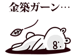247206267