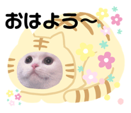 247257439