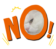 247257455