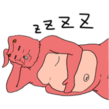 2472638