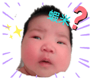 247307779
