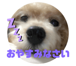 247376367