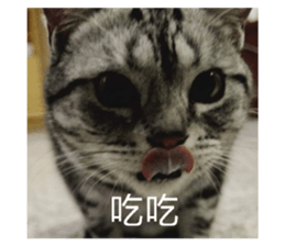 247428521