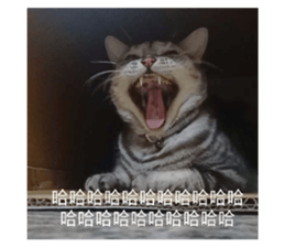 247428522