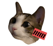 247429169