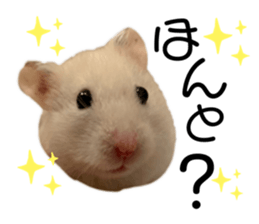 247534463