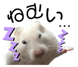 247534472