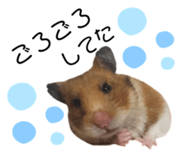 247534483